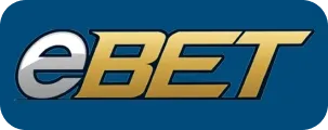 Visa partner logo